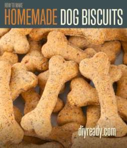 Homemade Dog Biscuits | Recipe and Instructions