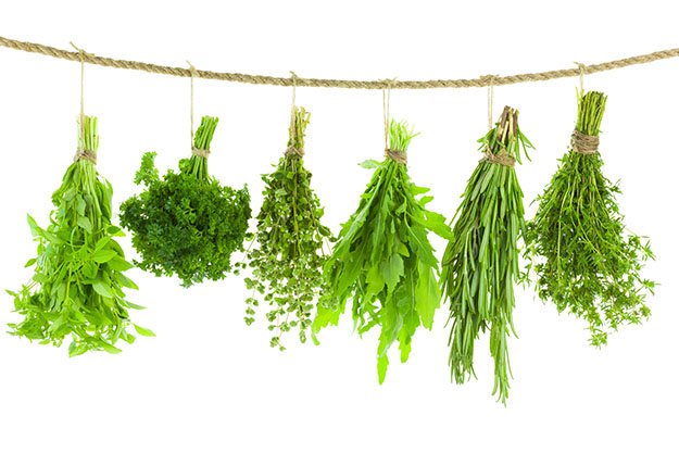 DIY How to Dry Herbs Step 3