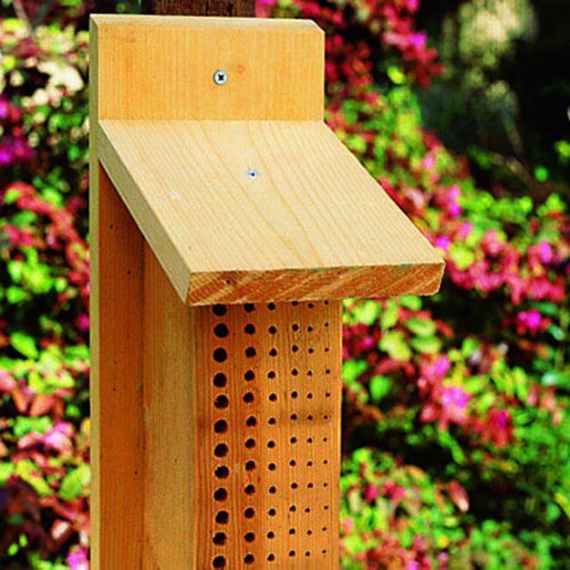 Pin Bee Hive Tool Box on Pinterest