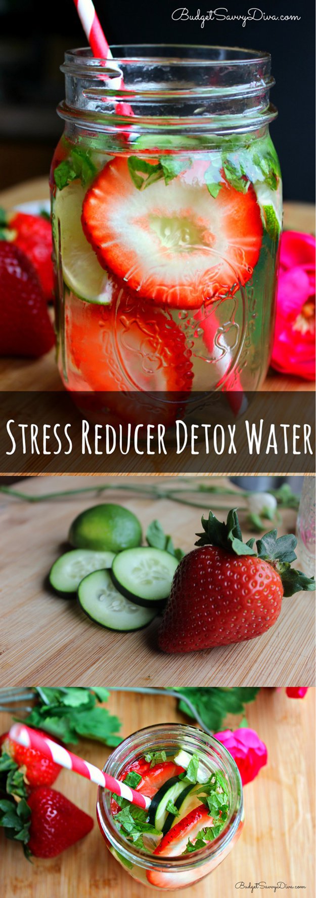Easy Healthy Detox Water Recipe | http://diyready.com/diy-recipes-detox-waters/