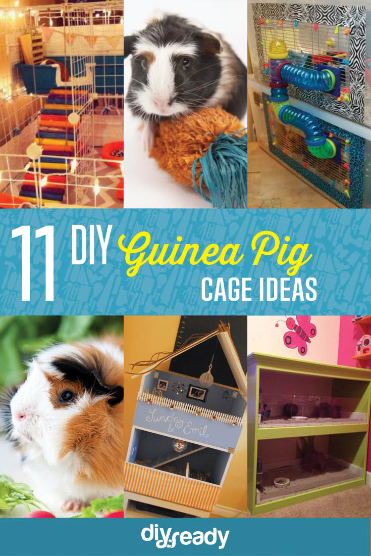 11 Diy Guinea Pig Cage Ideas Diy Ready