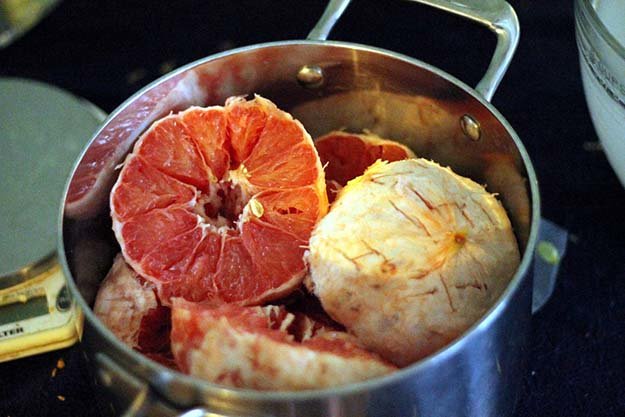 Grapefruit Pale Ale citrus aroma homemade beer