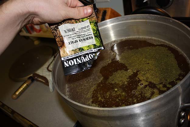 Hops brewing to make a noble hopped pilsner