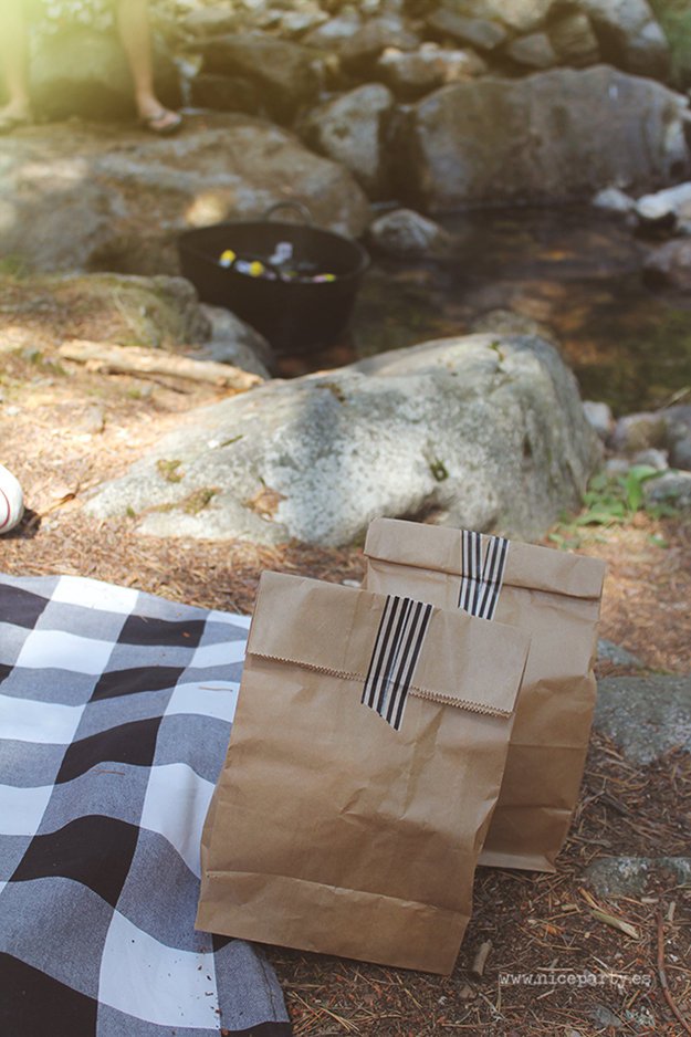 DIY Projects Picnic Ideas 